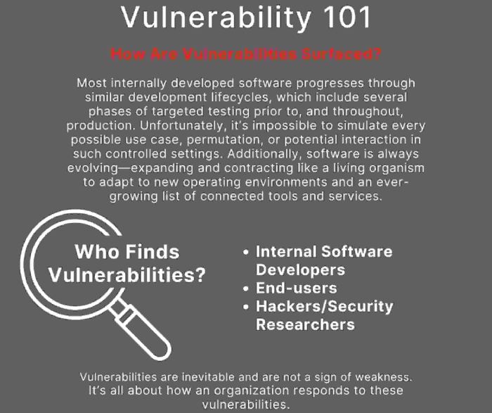 Vulnerability 101
