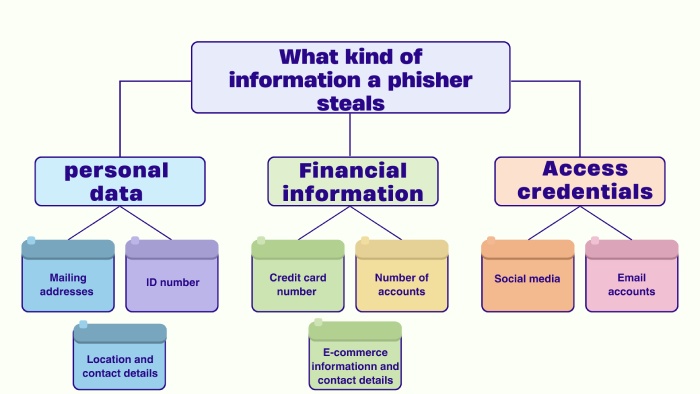 phisher steals information