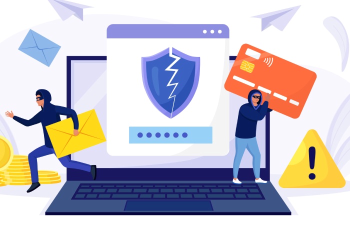 cyber fraud